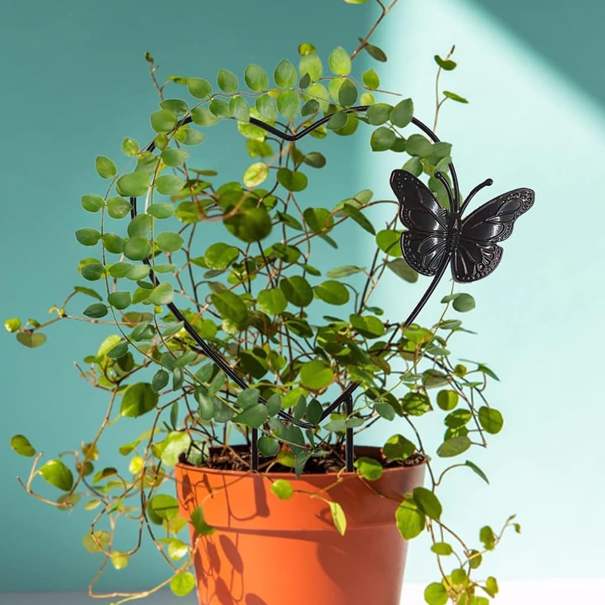 Optifit 2 Pcs Garden Trellis for Climbing Plants - Black Iron Butterfly Plant Stakes - 30CM Garden Plant Support Sticks - Indoor/Outdoor - Creeper Plant Support for Amaryllis Orchid Lily Rose Optifit 2 Pcs Garden Trellis for Climbing Plants - Black Iron Butterfly Plant Stakes - 30CM Garden Plant Support Sticks - Indoor/Outdoor - Creeper Plant Support for Amaryllis Orchid Lily Rose